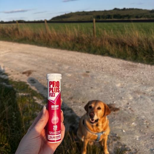 After a long day at work, the dog... 