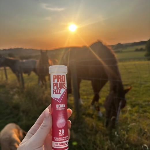 Make the most of the sunny evenings.... 
